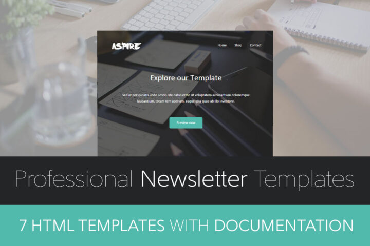 Professional Newsletter Templates