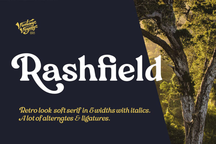 Rashfield – Soft Serif Family