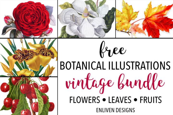 Realistic Florals – Free Illustrations