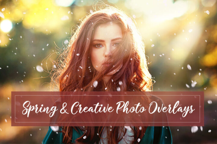Spring & Creative Photo Overlays