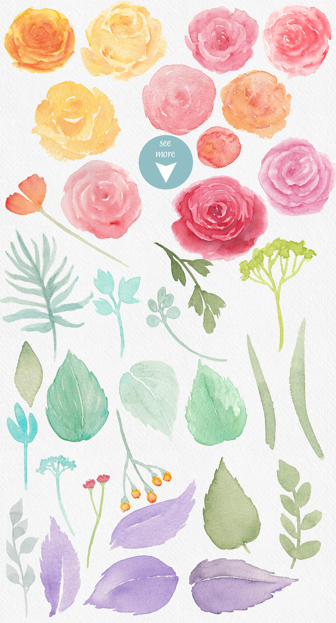 Huge Floral Watercolor Bundle - Dealjumbo