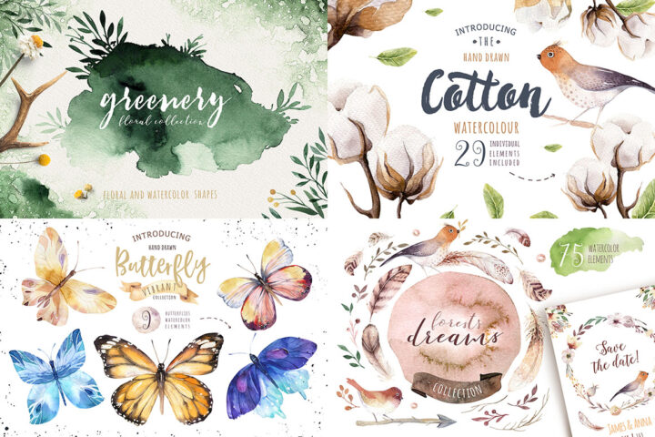 Summer Time Collection