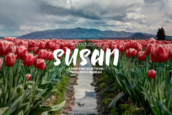 Susan – Free Brush Font