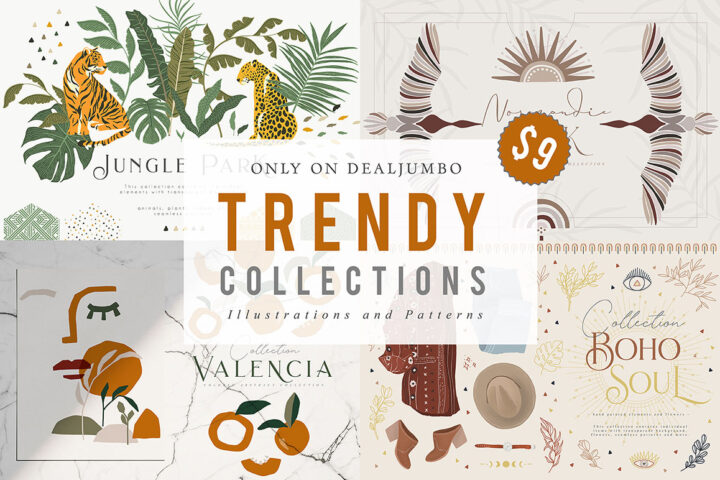Trendy Collections