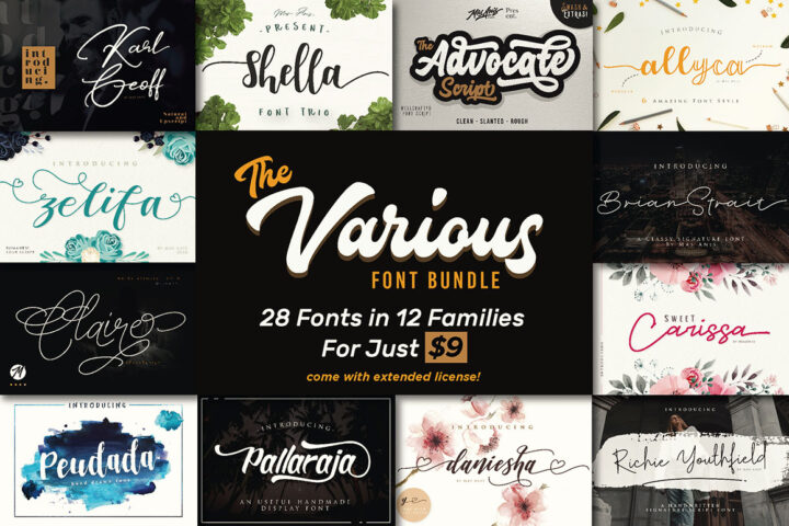 The Various Font Bundle