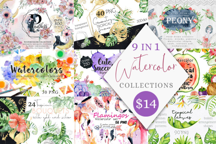 Tropical & Floral Watercolor Bundle