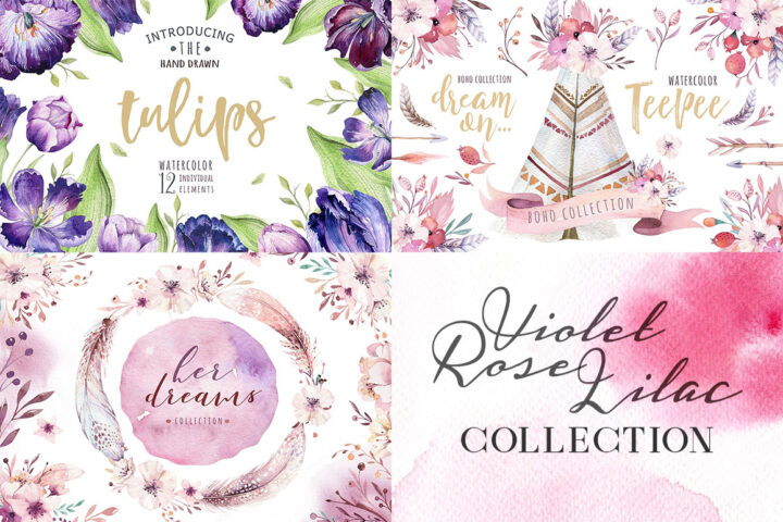 Violet & Rose & Lilac Collection