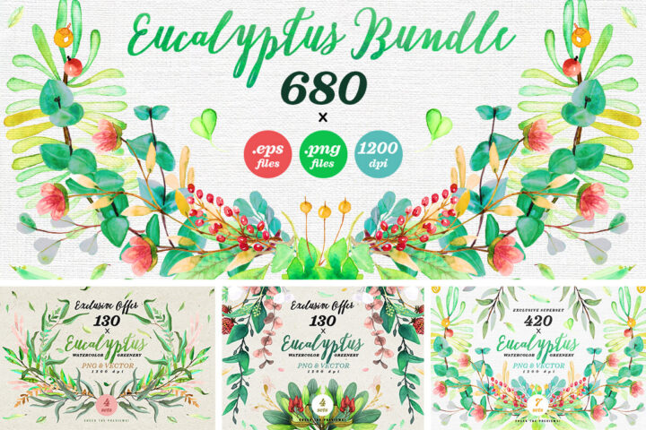 Watercolor Eucalyptus Superset