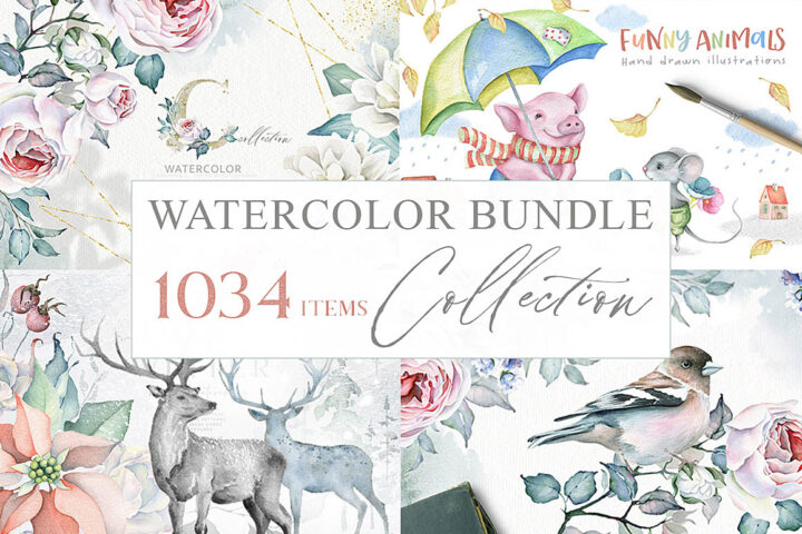 Watercolor Illustrations Collection