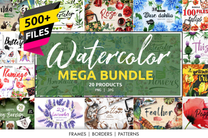 Watercolor Illustrations & Graphics