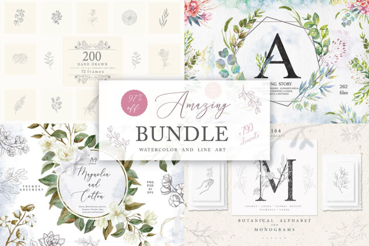 Watercolor & Line Art Bundle