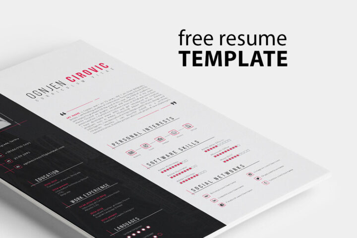 Free Professional Resume Template