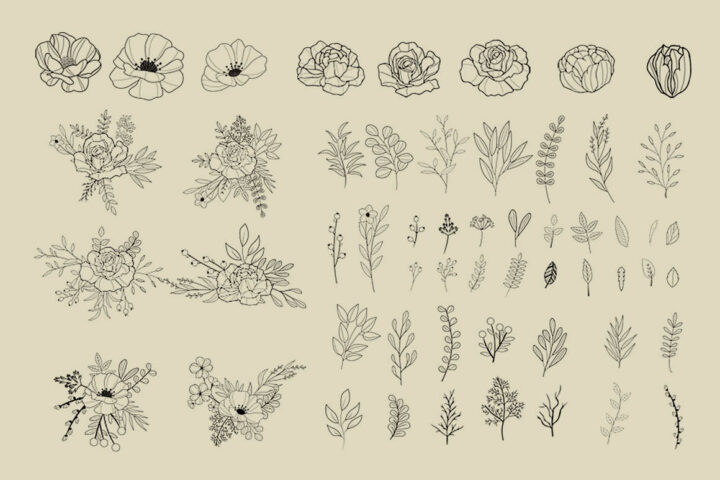 Free Floral Vector Collection