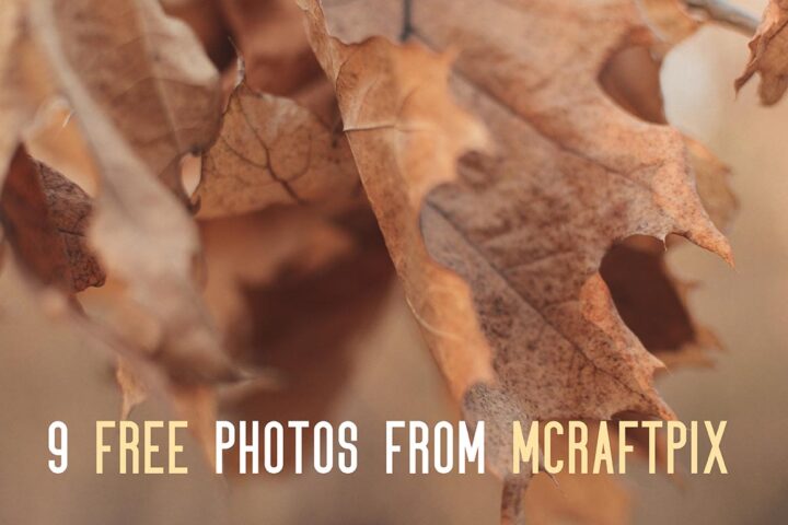 9 Free Photos From Mcraftpix