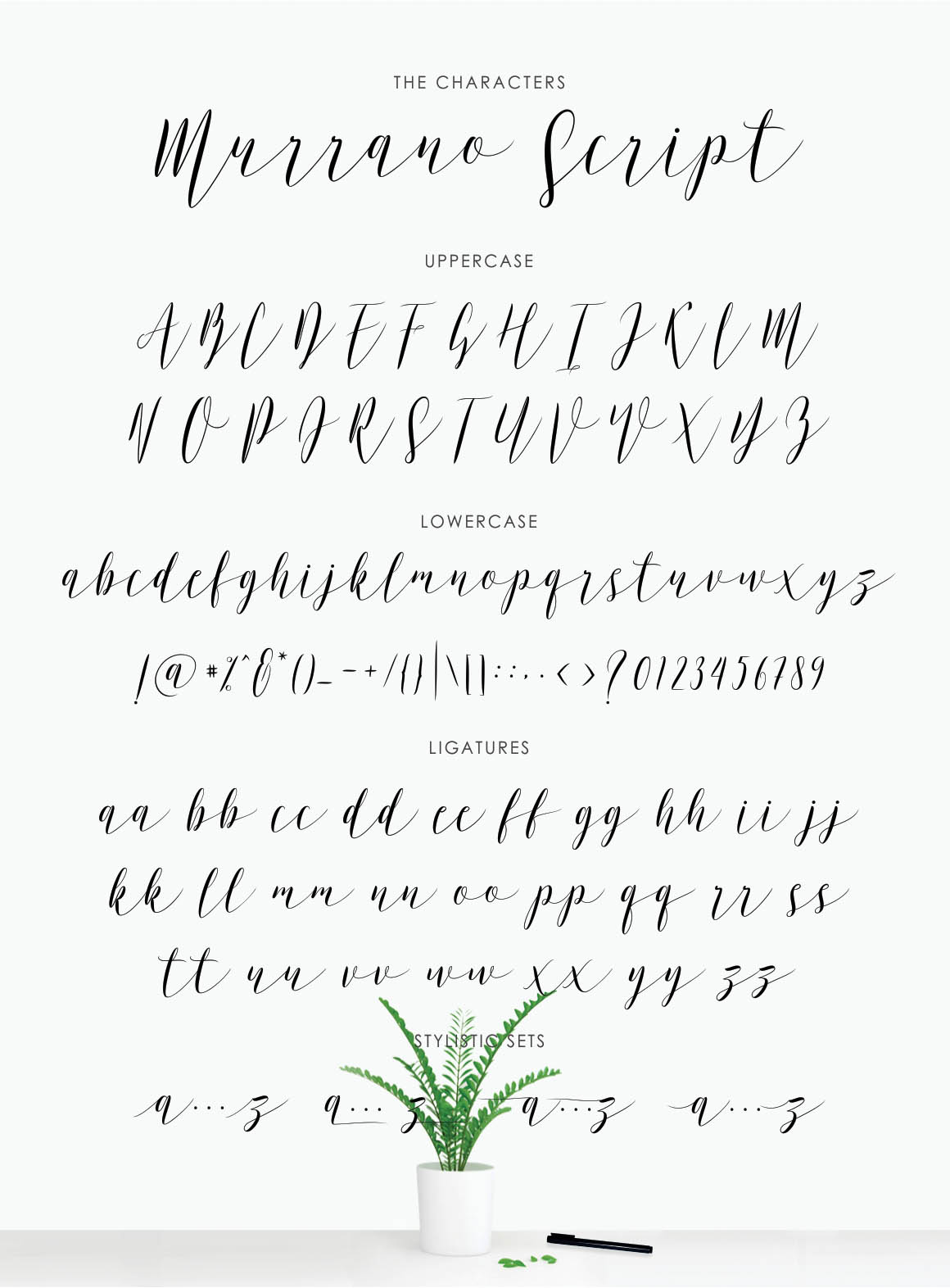 10-word-script-fonts-images-script-fonts-word-fancy-cursive-fonts