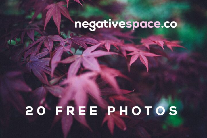 20 Free Photos from NegativeSpace.co