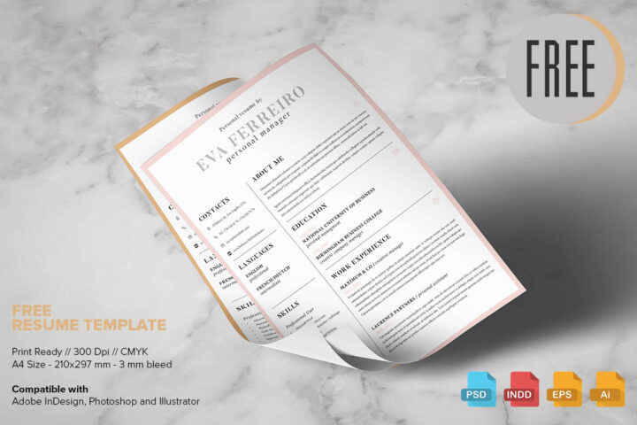 Clean Resume Template
