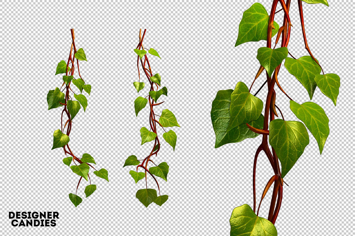 A Cutout Hanging Vine PHG