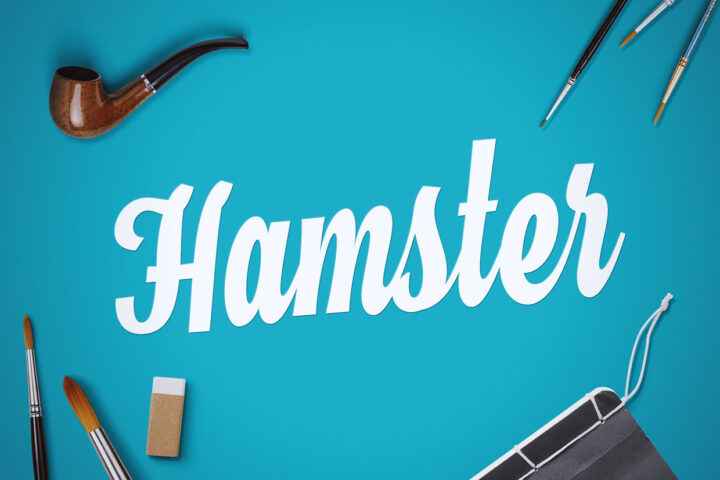 Hamster – Free Script Font