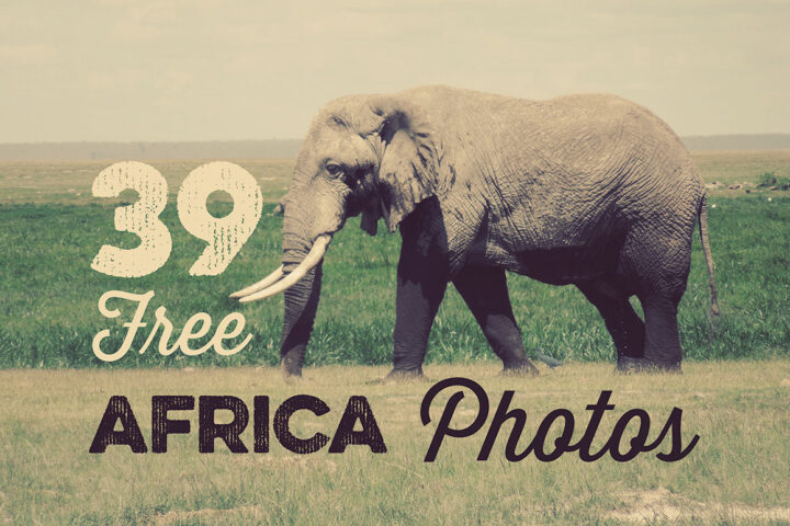 39 Free Africa Photos