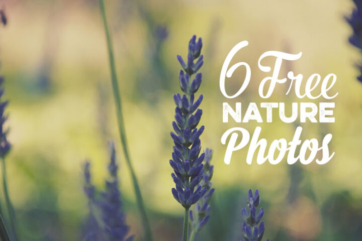 6 Free Photos – Abstract Nature