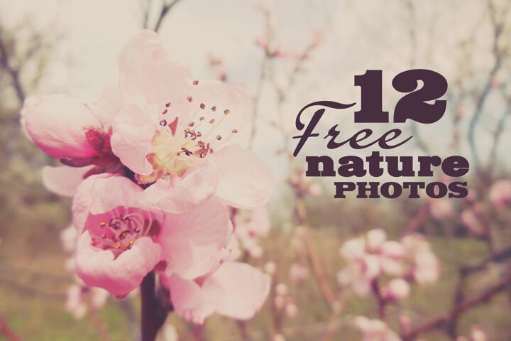 12 Free Nature Photos v.1