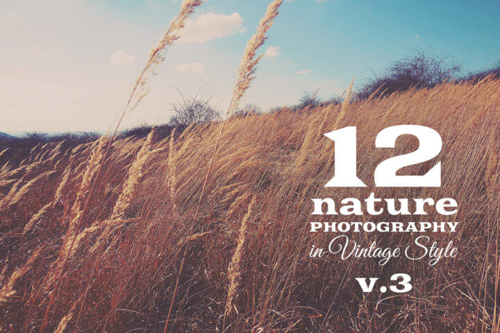 12 Free Nature Photos v.3